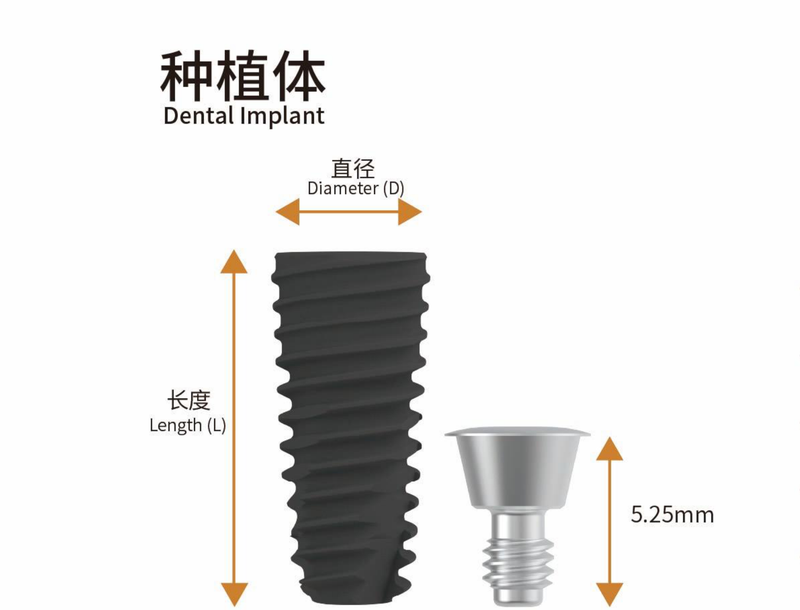 Φ3.5mm 迷你平台种植体
